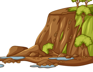 temanbumi