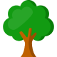 temanbumi